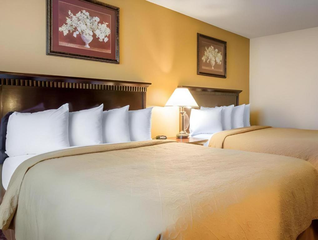 Quality Inn San Bernardino Buitenkant foto