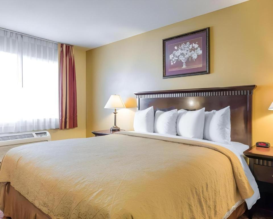 Quality Inn San Bernardino Buitenkant foto