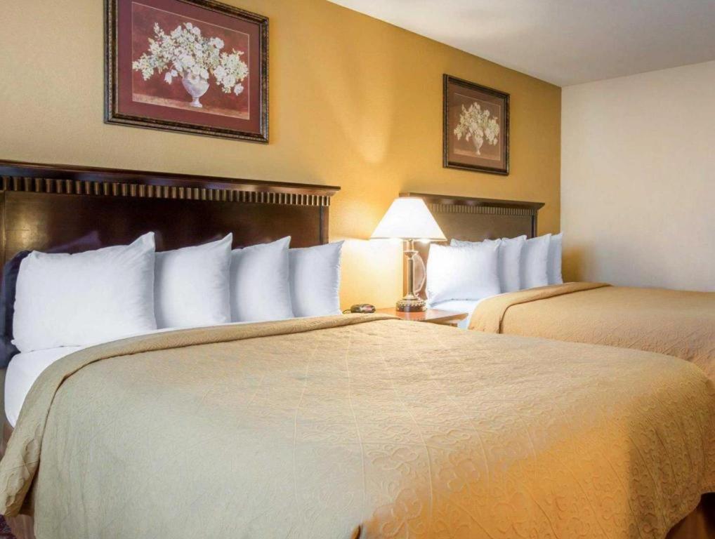 Quality Inn San Bernardino Buitenkant foto