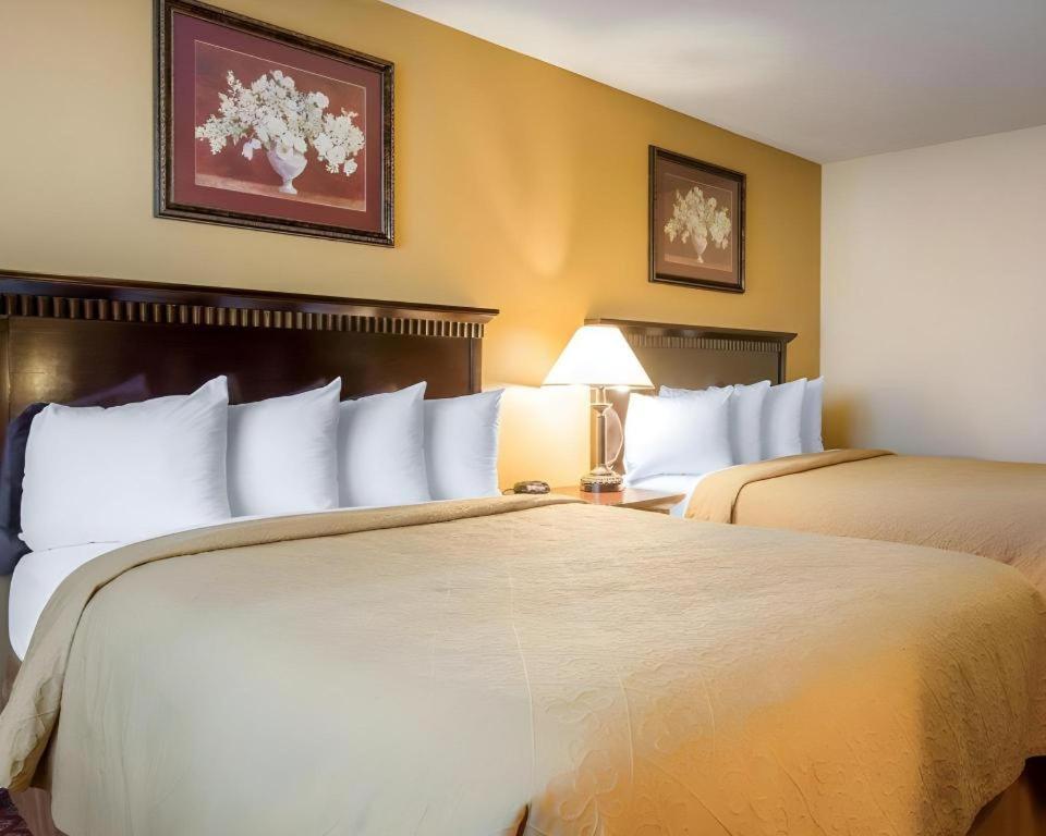 Quality Inn San Bernardino Buitenkant foto