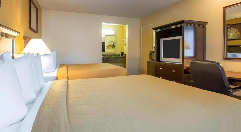 Quality Inn San Bernardino Buitenkant foto